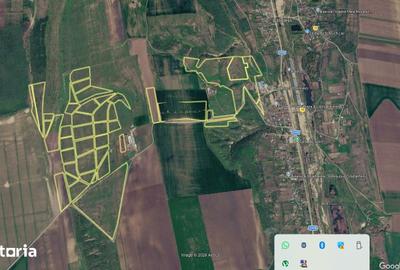 Teren de 700000 mp, în Berești-Meria