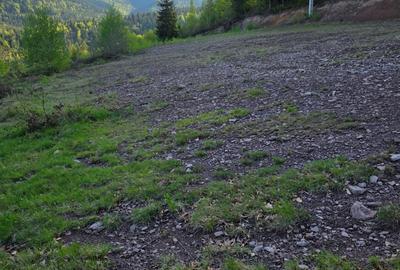 Teren de 6000 mp, în Arieșeni