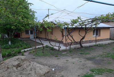 Casă cu 4 camere în Prisăcani - 2