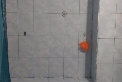 Apartament cu 2 camere decomandat în Tătărași