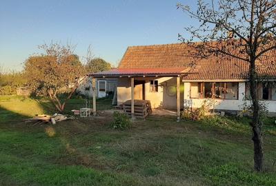 Casă cu Teren 2000 Mp în Central