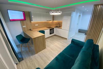 Apartament cu 2 camere semidecomandat în Dosu Bricii - 2