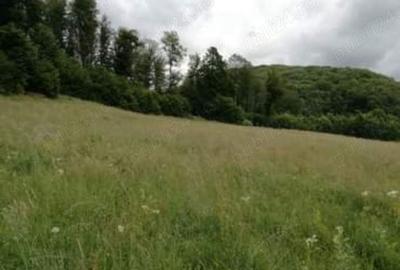 Teren de 10700 mp, în Câmpu Cetății - 1