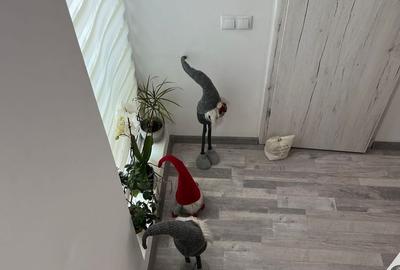 Casă cu 3 camere cu Teren 25 Mp în Titan - 2