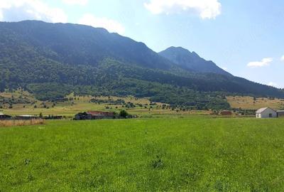 Teren de 1136 mp, în Central