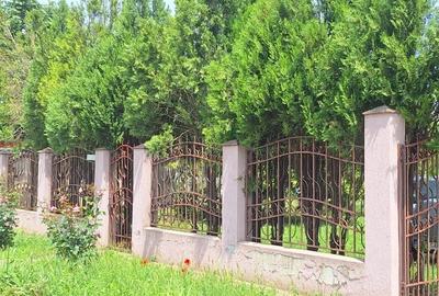 Casă individuală cu 5 camere cu Canalizare în Dridu - 9