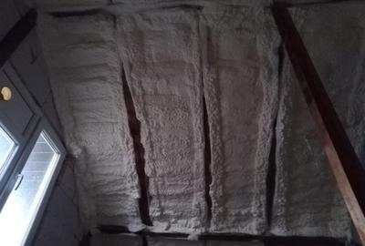 Casă cu 4 camere în Drajna Nouă - 16