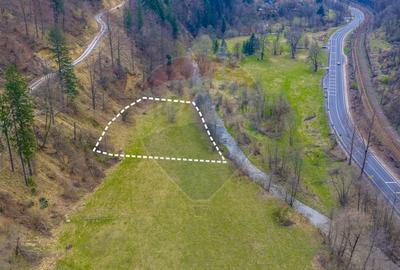 Teren Construcții intravilan de 2000 mp, în Timișu de Jos - 4