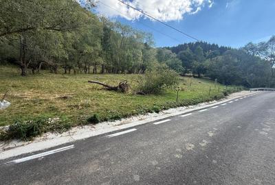 Spațiu comercial, în Valea Poienii