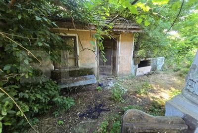 Casă cu 3 camere cu Teren 1954 Mp în Tomșani - 3