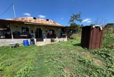 Casă individuală cu 3 camere cu Teren 1994 Mp în Negulești - 3