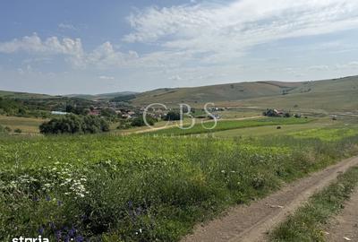 Teren de 5800 mp, în Dezmir