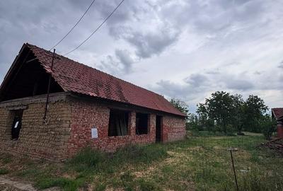 Casă cu 3 camere în Diosig - 3