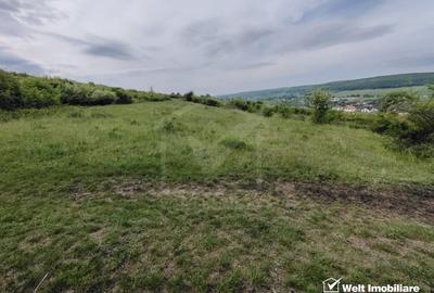 Teren agricol intravilan de 8700 mp, în Chinteni - 6