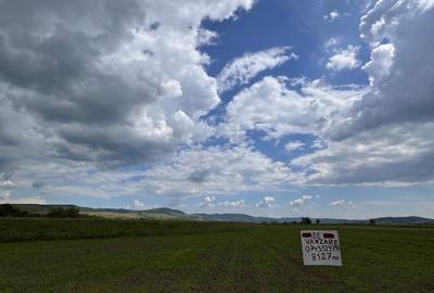 Teren agricol extravilan de 8127 mp, în Salatiu - 5