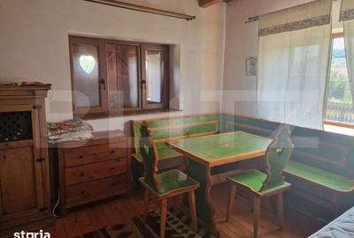 Casă cu 3 camere cu Teren 3300 Mp în Mihai Viteazu - 8