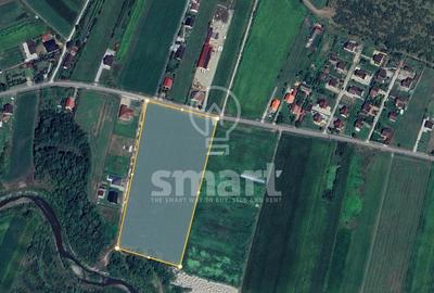 Teren Construcții intravilan de 25000 mp, în Jelna - 3