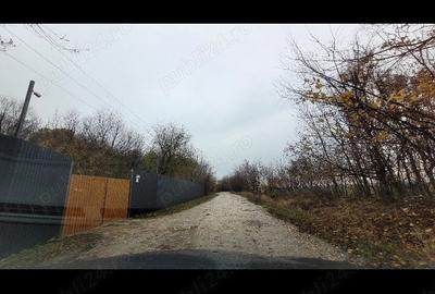 Teren în Dârvari - 1