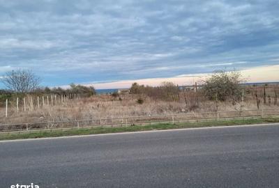 Teren de 3000 mp, în Limanu