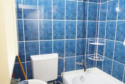 Garsonieră nedecomandată în Brâncoveanu - 10