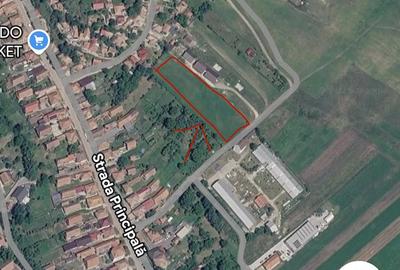 Teren de 4600 mp, în Mera - 1
