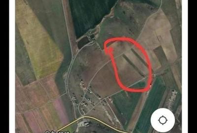 Teren de 4800 mp, în Ciritei