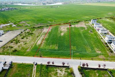 Teren Construcții intravilan de 25000 mp, în Balotești - 2
