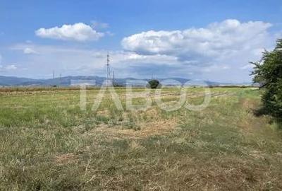 Teren de 3900 mp, în Pianu