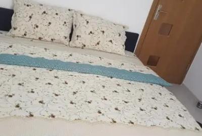 Apartament cu 3 camere decomandat în Județean - 9