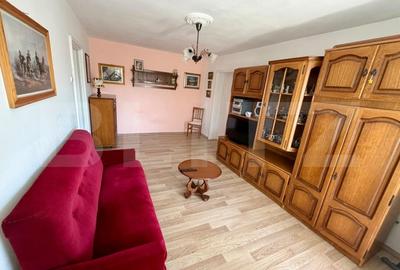 Apartament cu 2 camere semidecomandat, mobilat în Brazda lui Novac