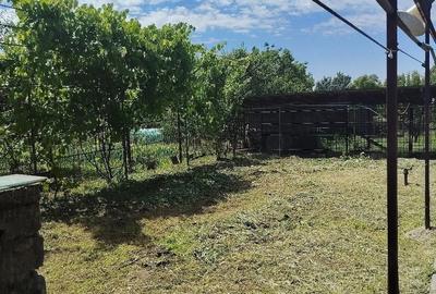 Casă cu 5 camere cu Teren 2500 Mp în Domnești - 3