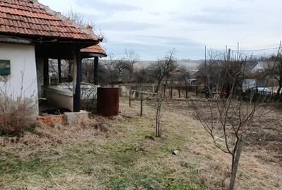 Casă cu 3 camere cu Teren 2394 Mp în Fărcășești - 5