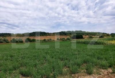 Teren de 27500 mp, în Răscruci - 1