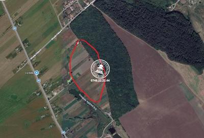 Teren de 5383 mp, în Movileni