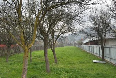 Teren de 2900 mp, în Central