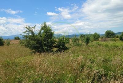 Teren agricol extravilan de 1800 mp, în Avrig - 7