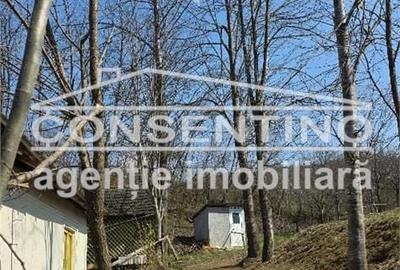 Casă cu 6 camere cu Teren 2200 Mp în Tisău - 4