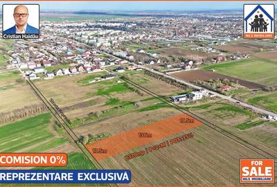 Teren în 1 Decembrie