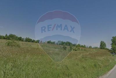 Teren agricol extravilan de 3110 mp, în Mănăstireni - 1