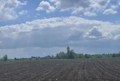 Teren de 7800 mp, în Rădăuți - 3