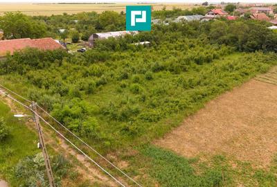 Teren agricol intravilan de 2398 mp, în Tisa Nouă - 2