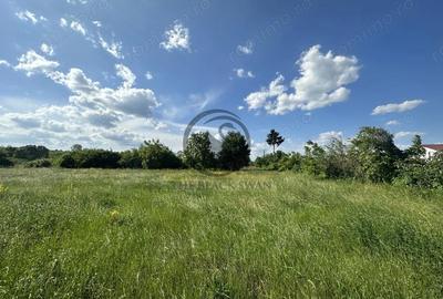 Teren de 11000 mp, în Ghirdoveni - 7