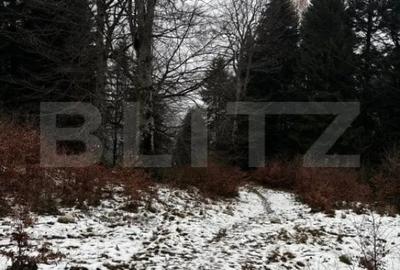 Teren de 4000 mp, în Calea Moroieni