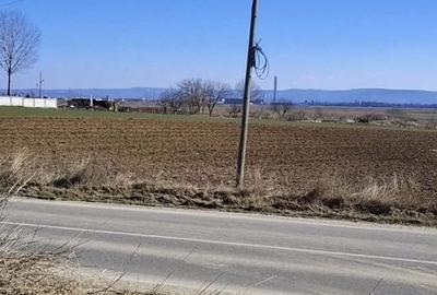 Teren de 1630 mp, în Luizi-Călugăra - 10