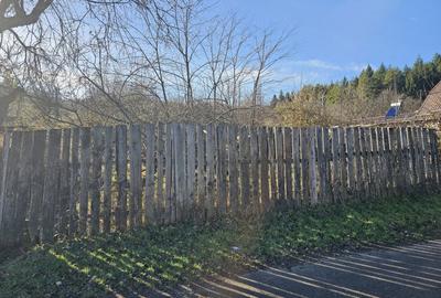 Teren Construcții intravilan de 8489 mp, în Nucet - 3
