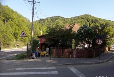 Casă cu 4 camere cu Teren 340 Mp în Castelul Peleș