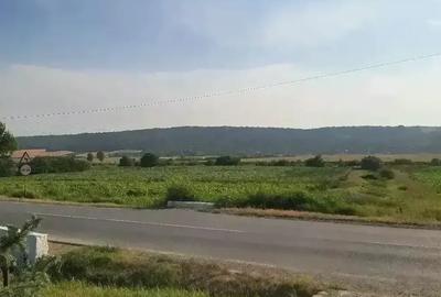Teren de 5000 mp, în Ștefan cel Mare