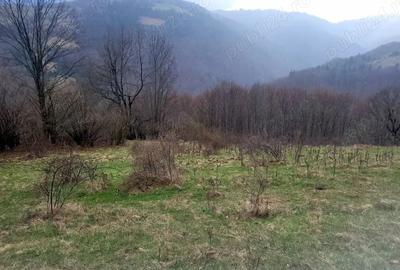 Teren în Central - 2