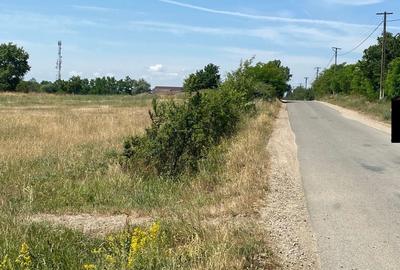 Teren de 15000 mp, în Medieșu Aurit - 1