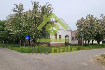 Casă individuală cu 3 camere cu Teren 1434 Mp în Satchinez - 4